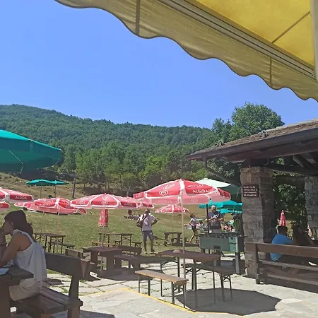 Spazioso Con Terrazzo Di Proprietà * Limone Piemonte
